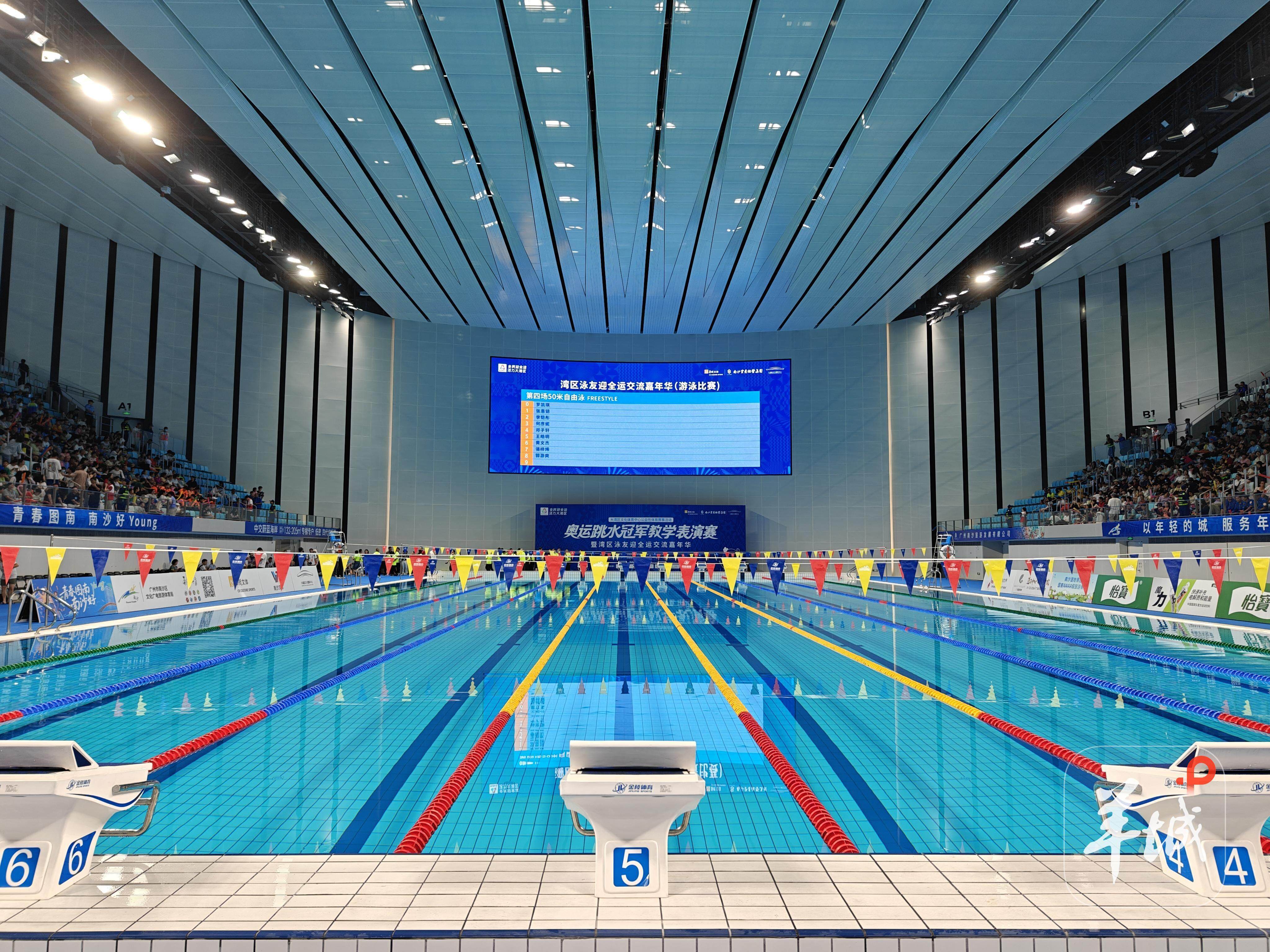 世界聚焦！游泳赛事全球收视创新高