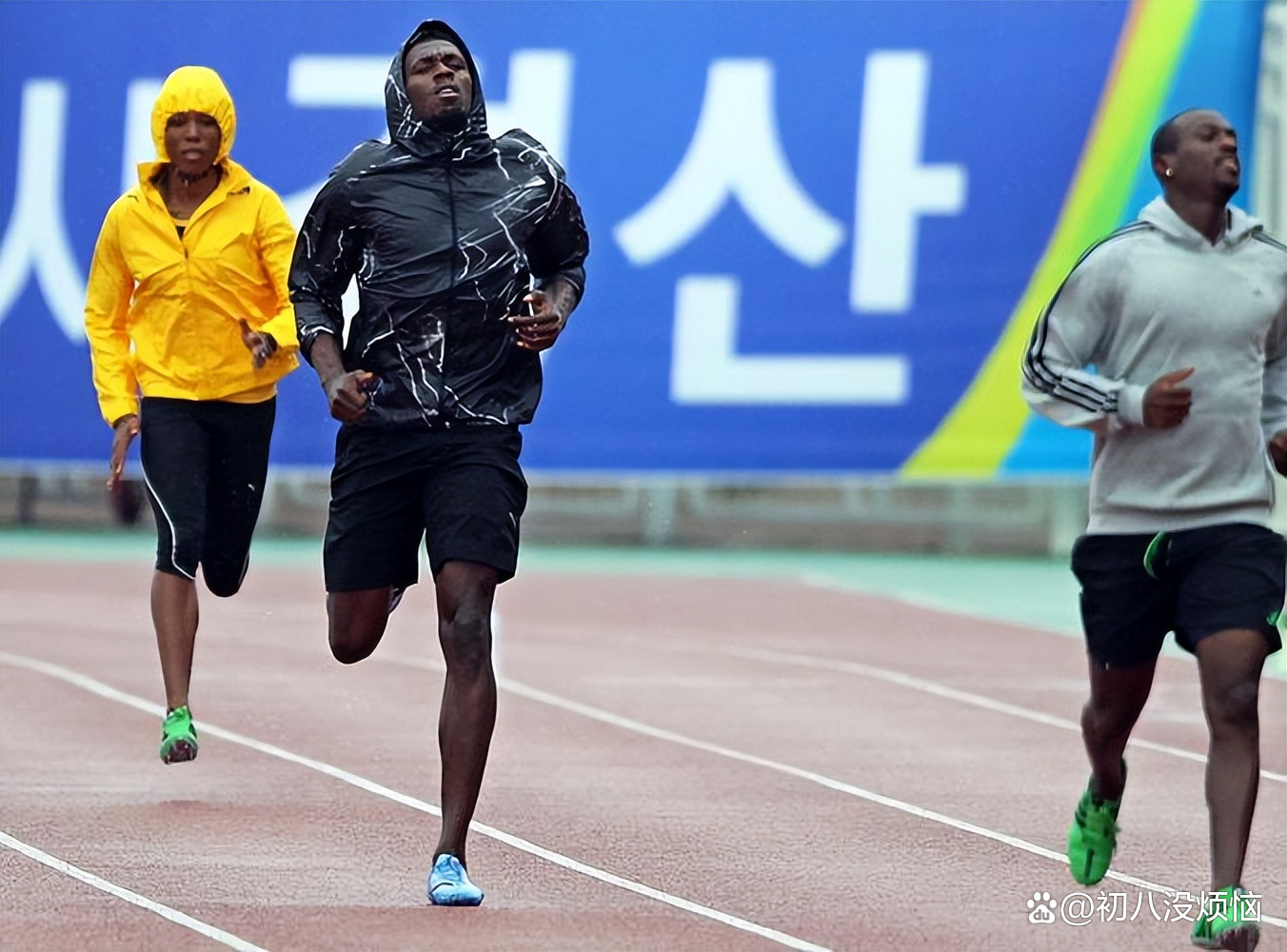 田径赛后采访曝光，内幕引发热议的简单介绍