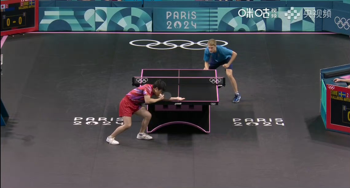 法国队轻取瑞典队,张本智和高光表现 法国队轻取瑞典队,张本智和高光表现