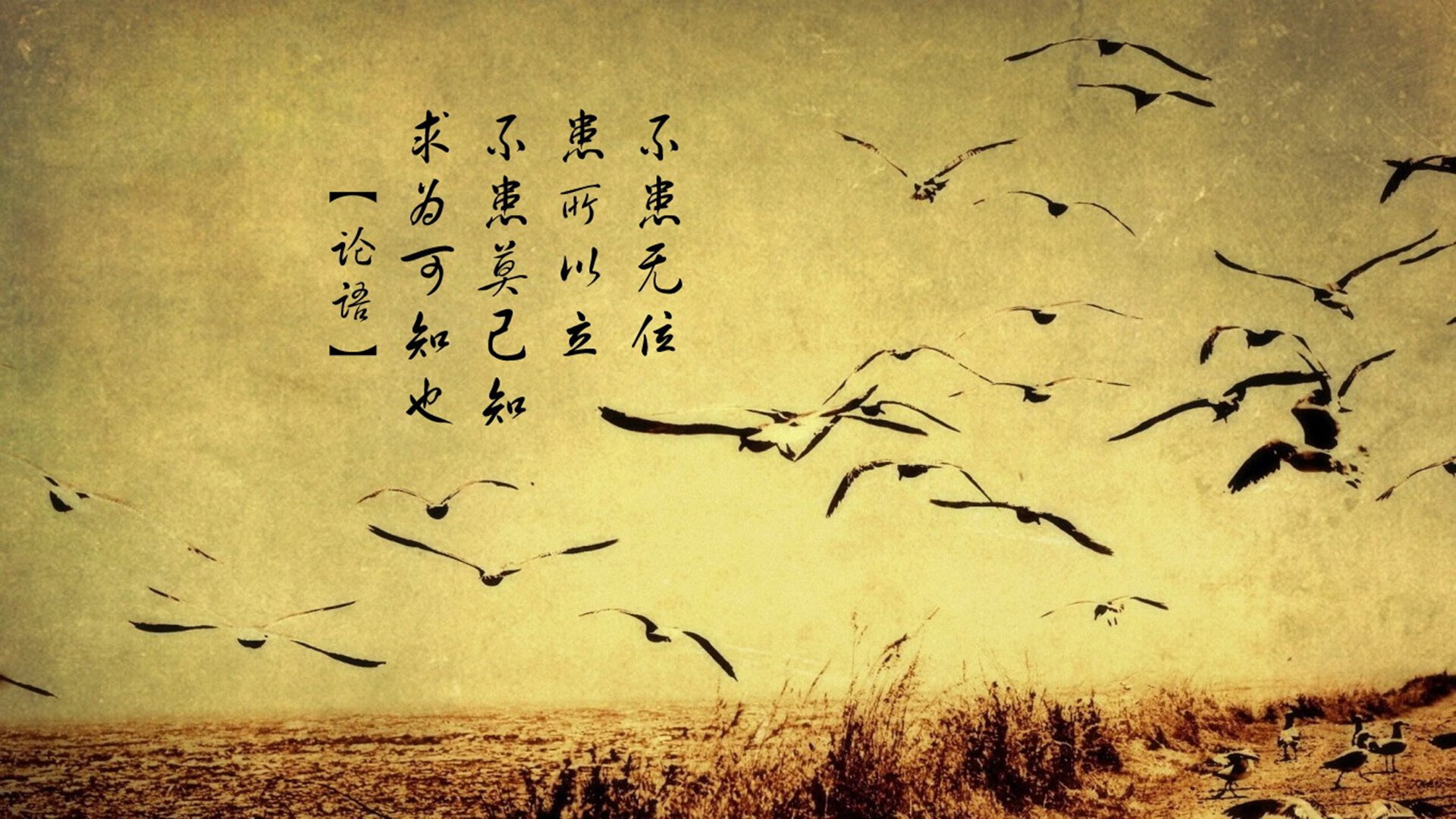 唯一性之战，当拉沃尔杯的集体血液注入ATP总决赛的孤独王座—解码西西帕斯的双重觉醒