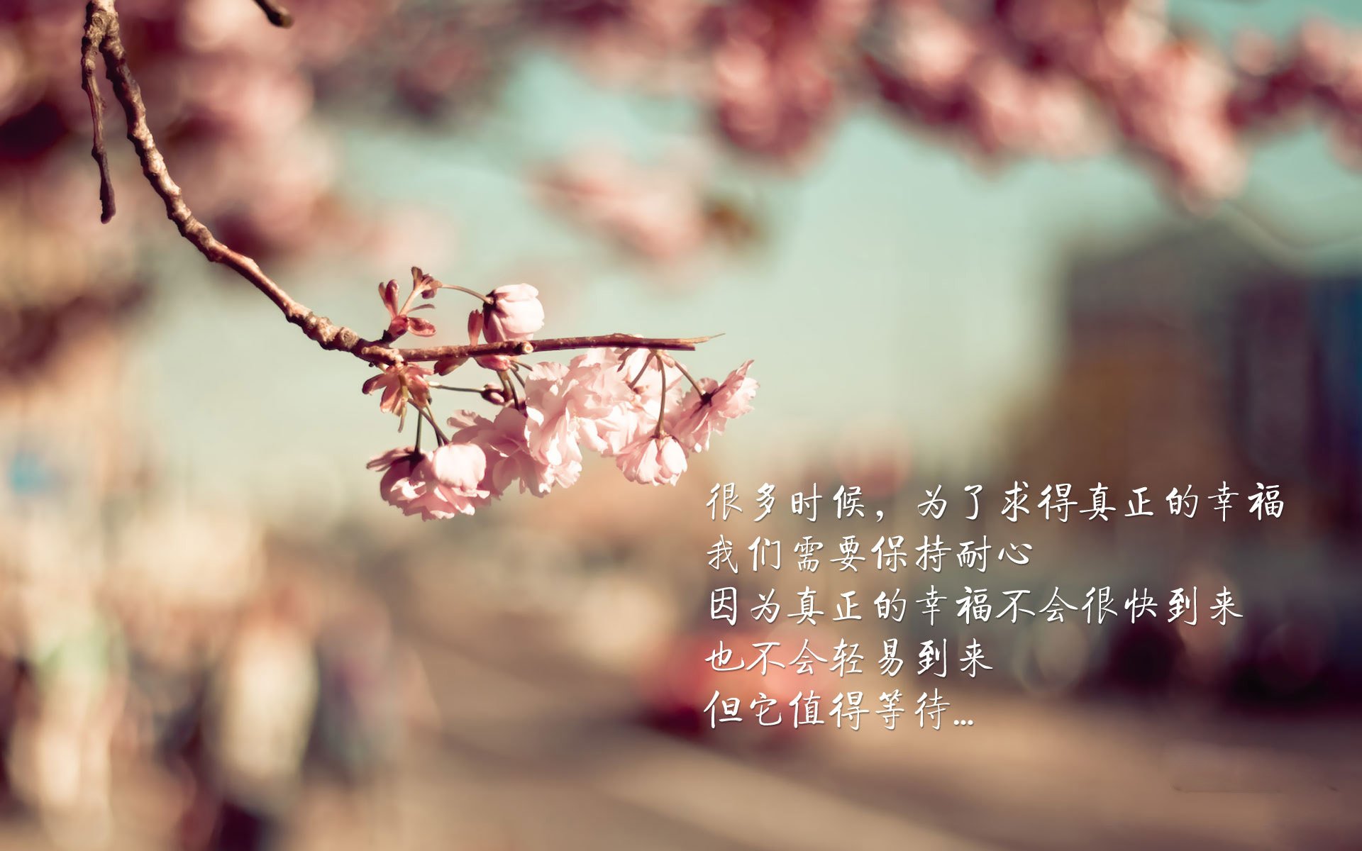 雪夜里的叛徒,当孙兴慜为爱尔兰戴上不属于他的王冠
