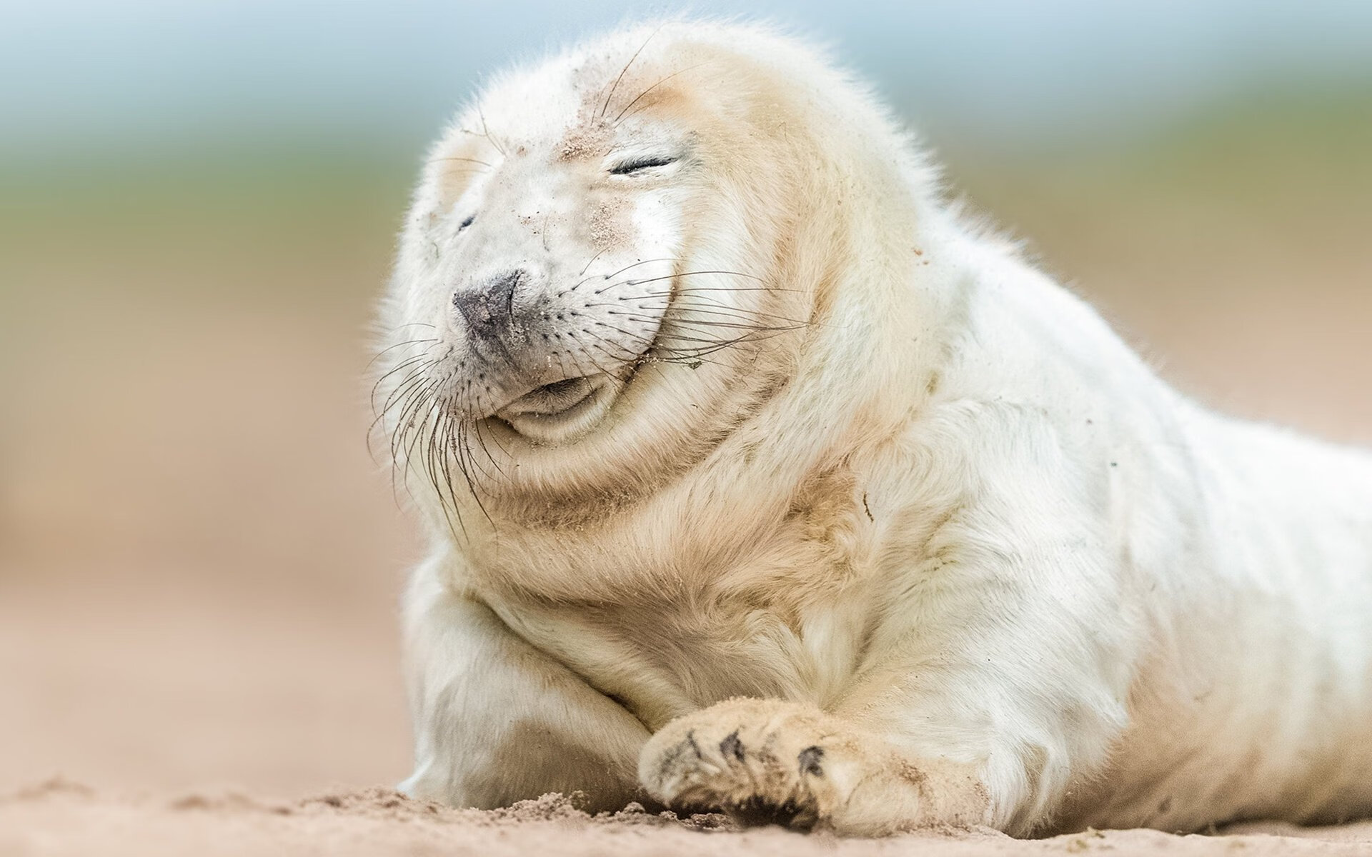 魔都锋芒破寒潮，上海队强势拿下年度焦点之战