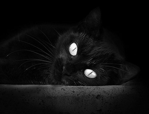 冰与火之歌，长春的坚韧与达拉斯的烈焰