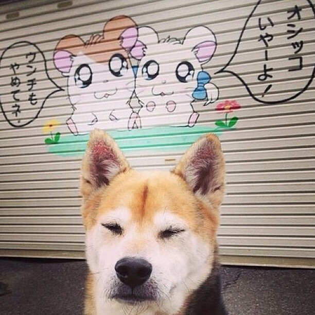 意甲焦点战，那柄名为卢卡库的利剑