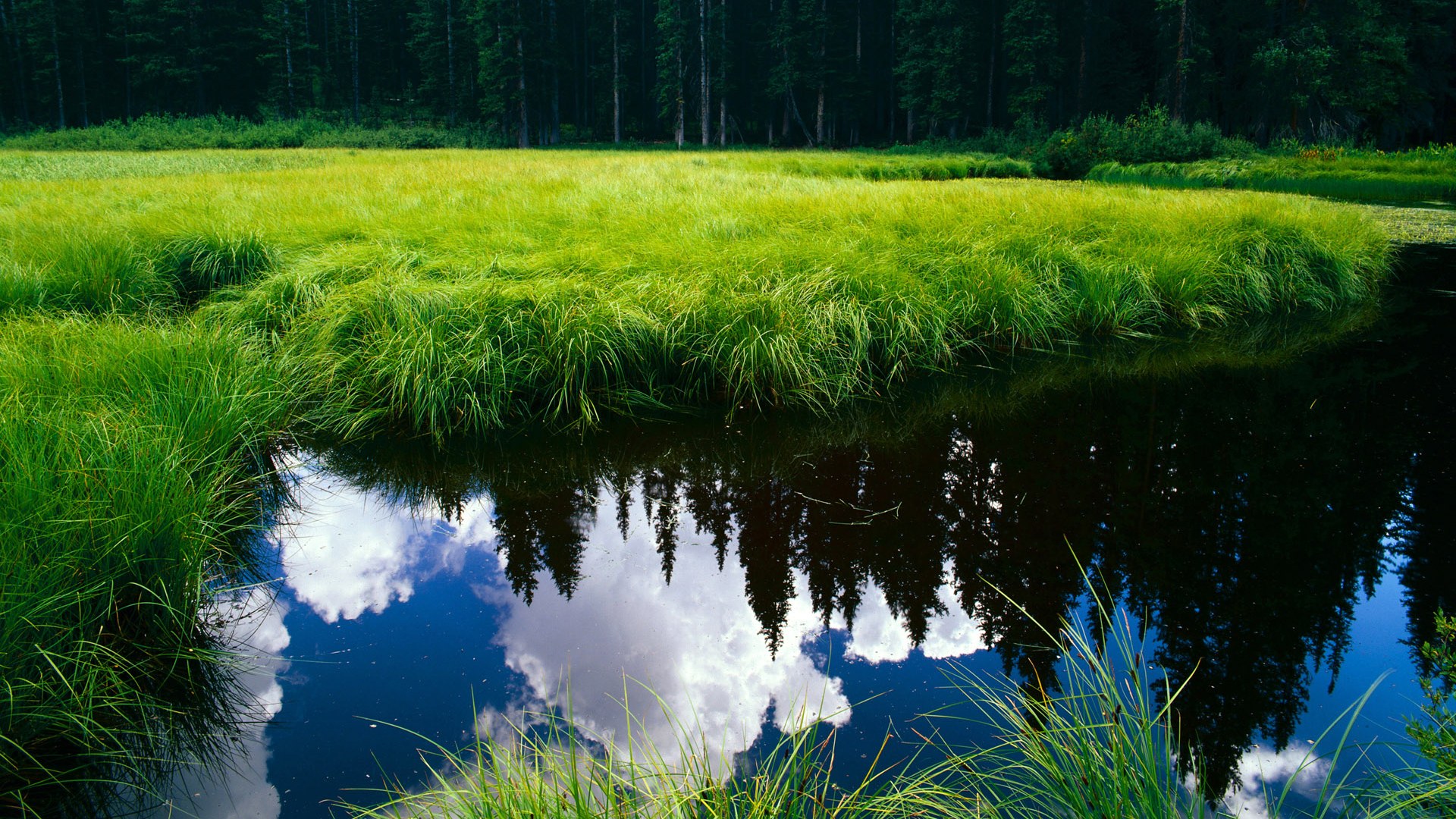 爱游戏入口-唯一战场，跨越地理宿命的对决，努涅斯在高原与古典的缝隙中证明自己