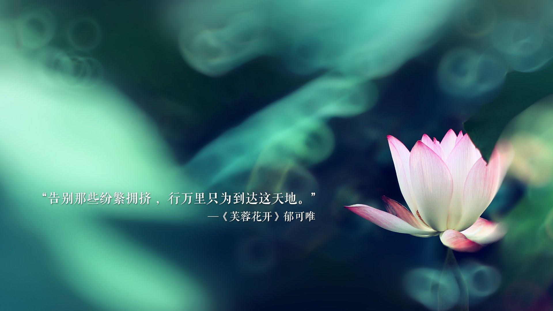 跨越时空的荣耀，当开拓者绝杀国王，詹姆斯于欧冠赛场完成跨界接管