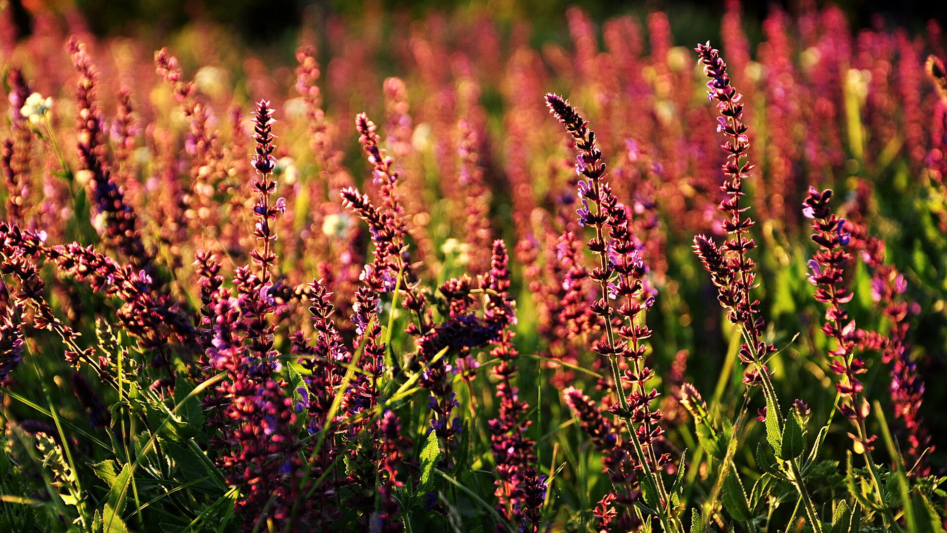 体系与英雄，足球胜利的两种模样