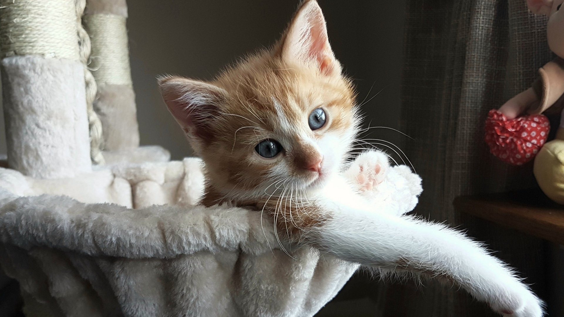 黄沙湮没前的枫叶图腾—记加拿大末节逆转马里，关键先生伊布一战封神