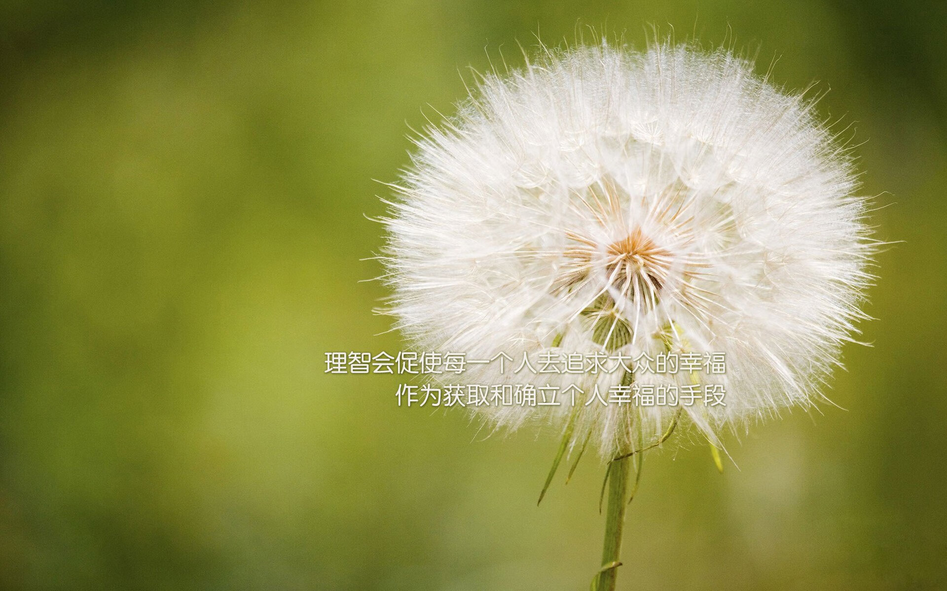 德黑兰之夜，橙色奇迹，费利克斯导演史诗逆转，伊朗铁骑憾负北极之光