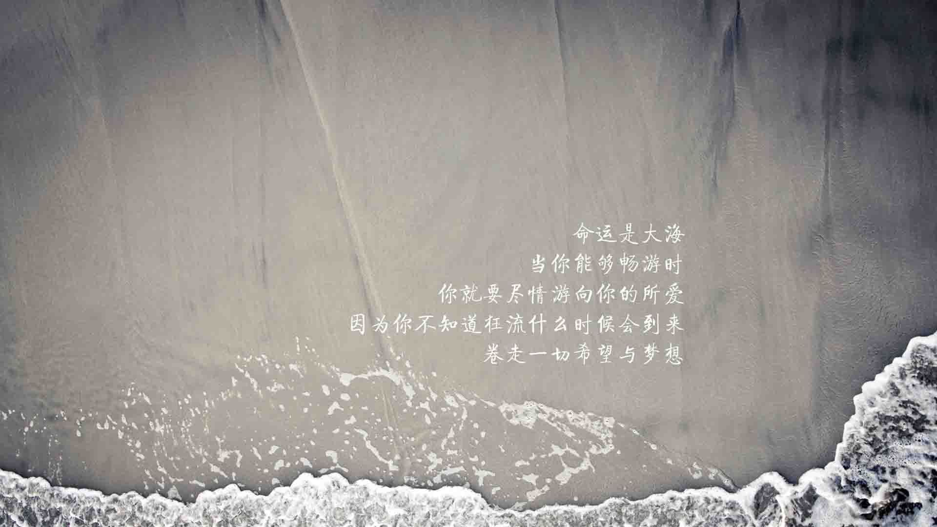 光芒独耀—当法国在世界杯的殿堂中，为费利克斯加冕
